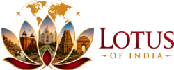 LOTUS OF INDIA - HORIZONTAL