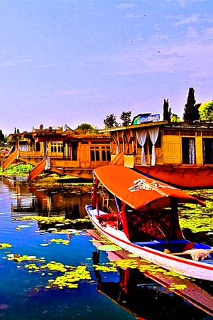 Kashmir