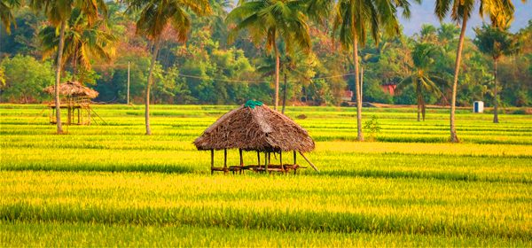 Kerala