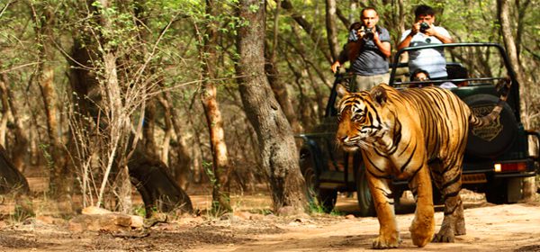Kanha