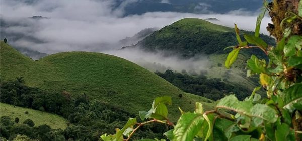 Coorg