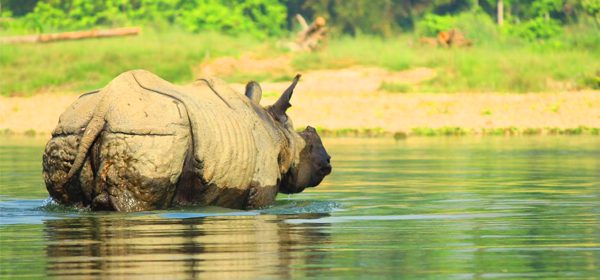 Chitwan