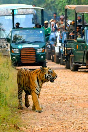 Pench