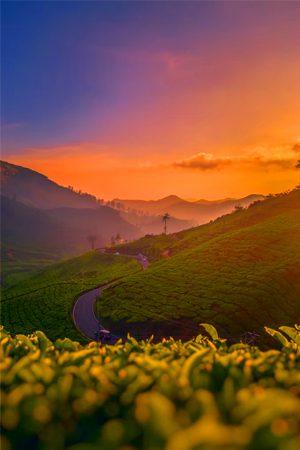Kerala