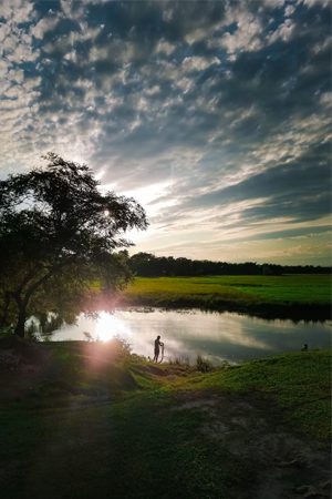 Assam
