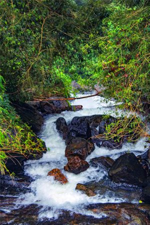 Thekkady