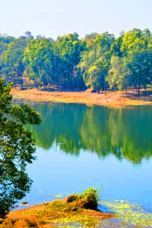 Bandhavgarh