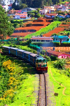 Ooty
