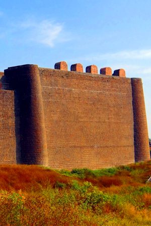 Gulberga