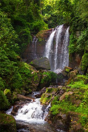 Nuwara Eliya