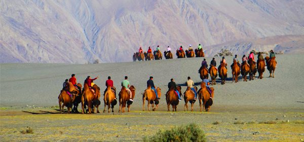 Nubra Valley