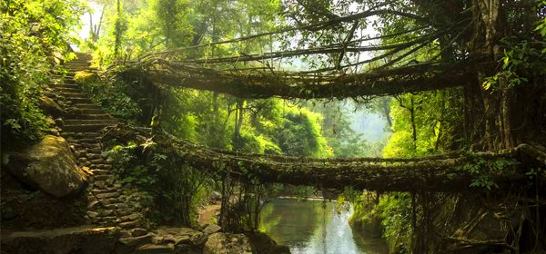 Meghalaya