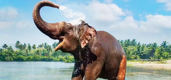 Periyar