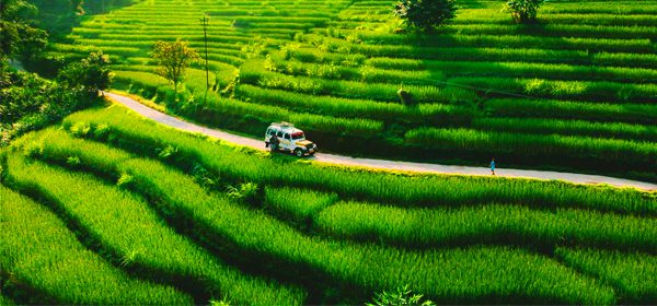 Kalimpong
