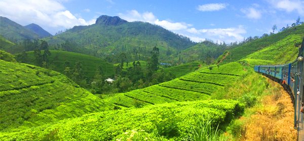 Nuwara Eliya