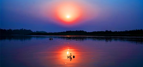 Chitwan