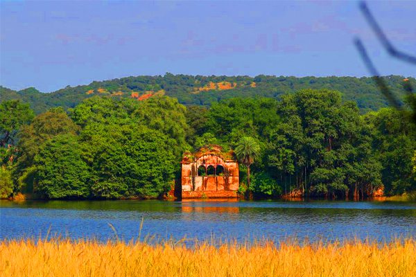 Ranthambore