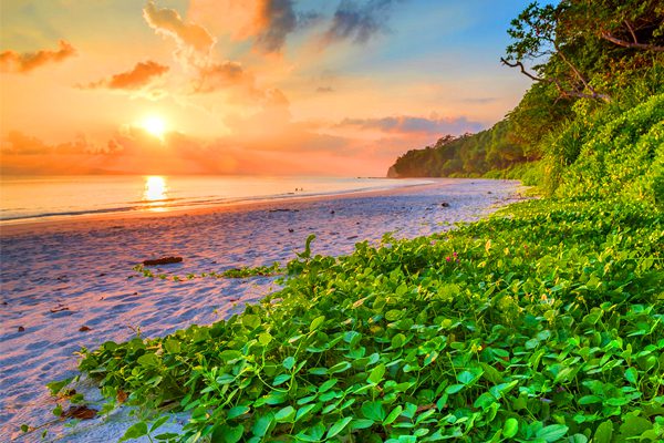 Andaman & Nicobar Islands