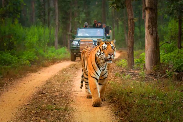 Kanha