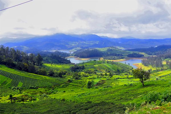 Ooty