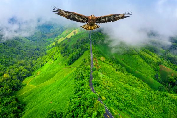 Coorg