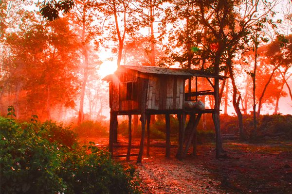 Chitwan