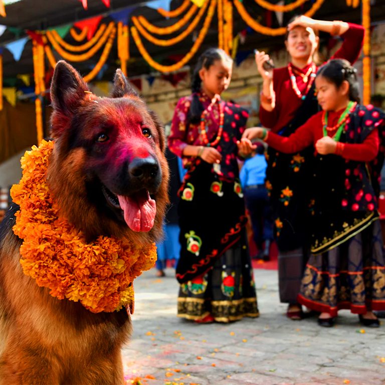 Cultura Himalayas