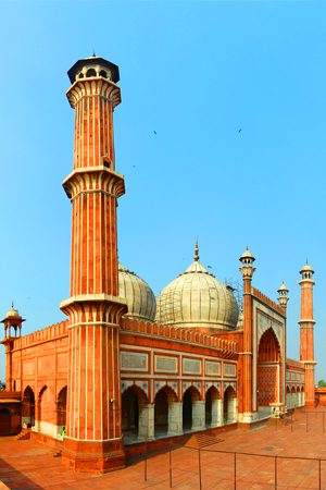 Delhi X2 300X450