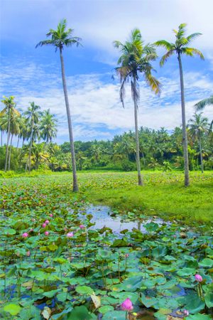 Kerala