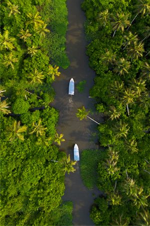 Alleppey
