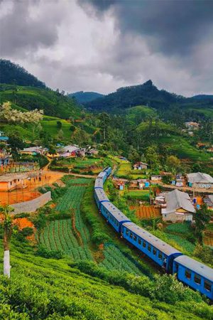 Nuwara Eliya