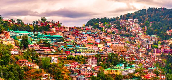 Shimla