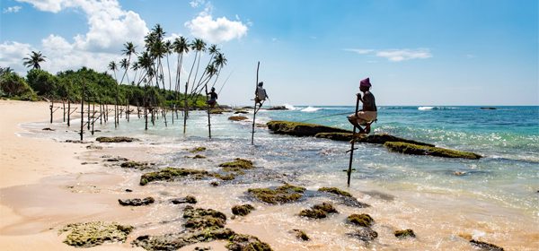 Sri lanka