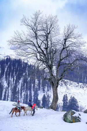 Sonmarg