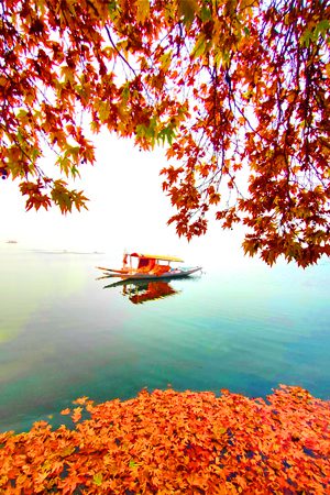 Srinagar