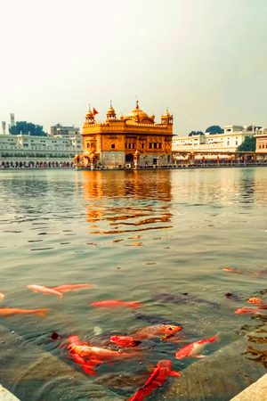Punjab