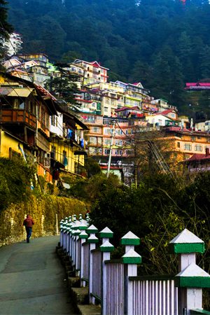 Shimla