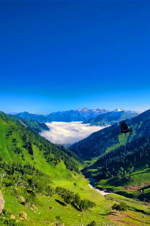 Kashmir