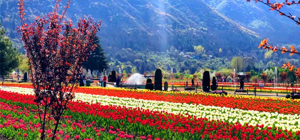 Kashmir