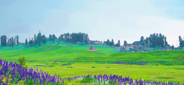 Gulmarg
