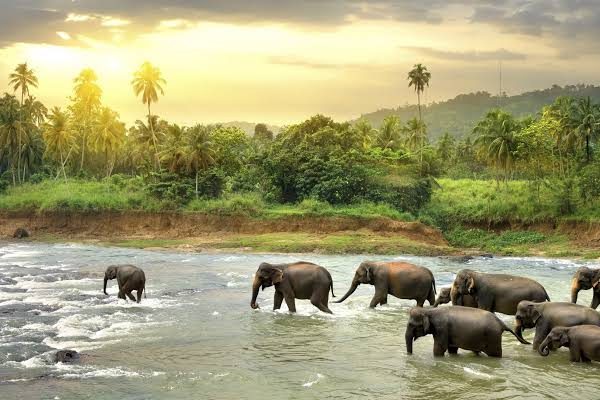 Sri lanka