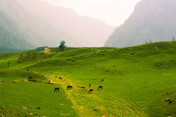 Sonmarg
