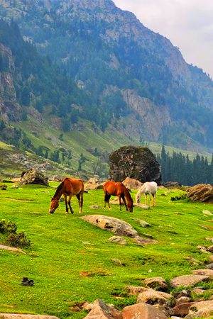 Sonmarg
